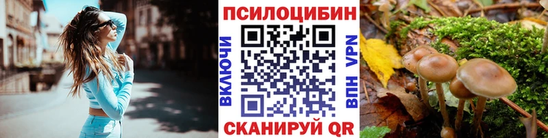 гидра онион  Петров Вал  Галлюциногенные грибы мухоморы 